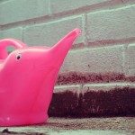 L'importanza di essere choosy